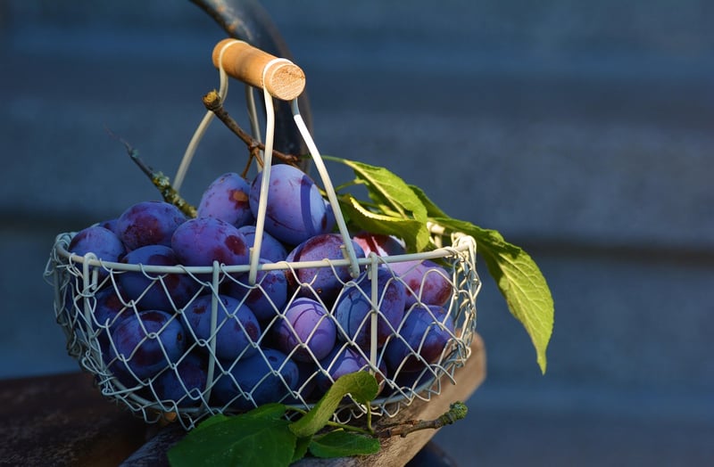 Upcycled Basket